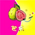 青春禁区动漫免费观看全集在线直播