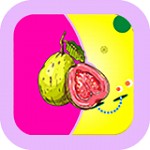 992tv影视apk